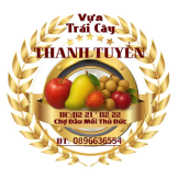 VỰA TRÁI CÂY THANH TUYỀN