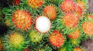 VỰA TRÁI CÂY THANH TUYỀN