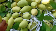 VỰA TRÁI CÂY THANH TUYỀN