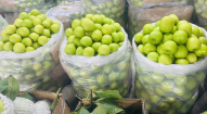VỰA TRÁI CÂY THANH TUYỀN