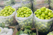 vựa trái cây tphcm