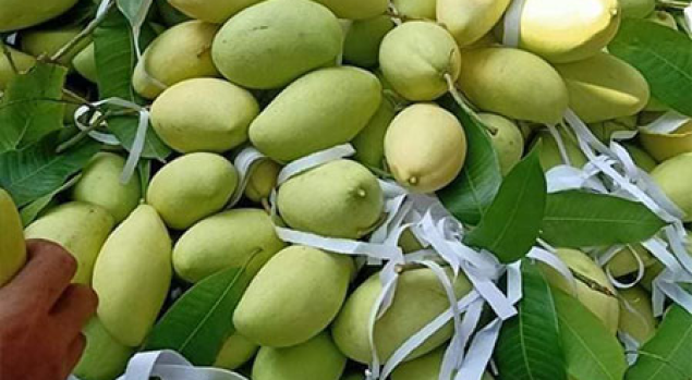 chợ sỉ trái cây sài gòn