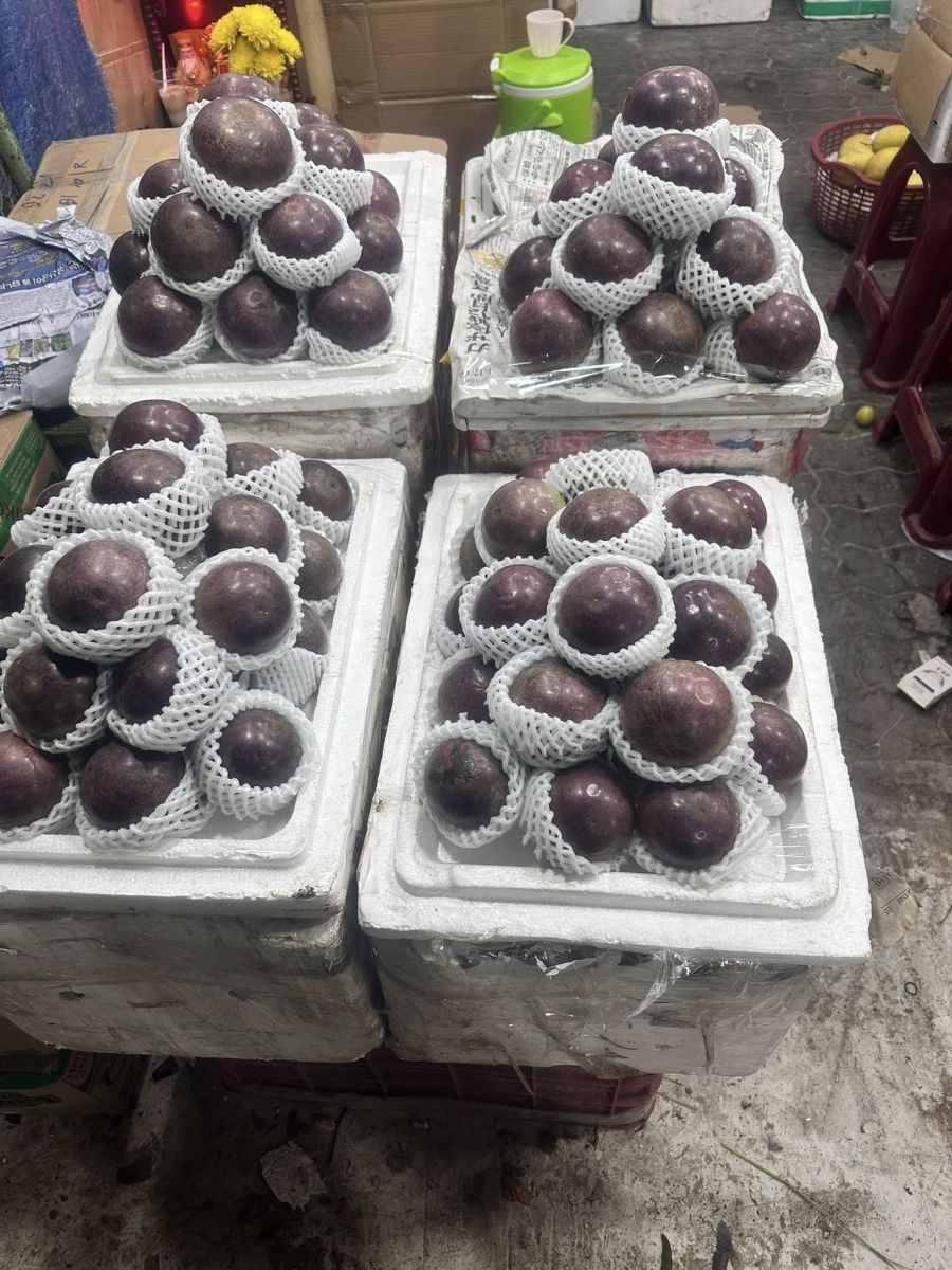 các vựa trái cây ở miền tây