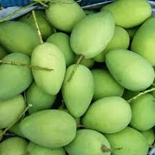 Gía sỉ xoài cát chu - vựa trái cây miền tây Bình Thạnh giá rẻ