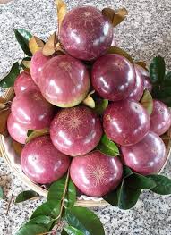 Chợ sỉ trái cây Sài Gòn - vựa trái cây Thủ Đức