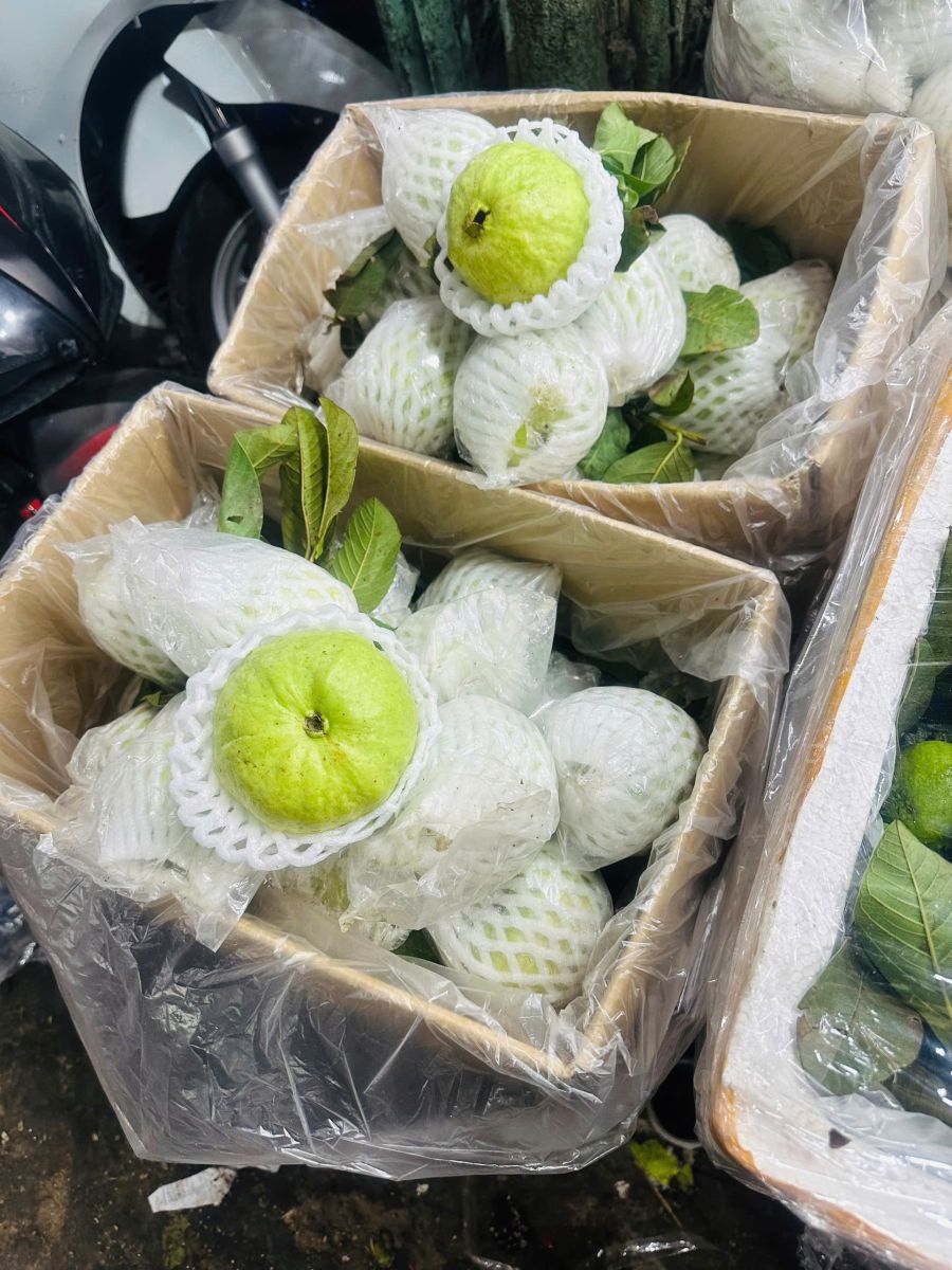 Gía sỉ trái cây chợ đầu mối Thủ Đức - vựa Thanh Tuyền