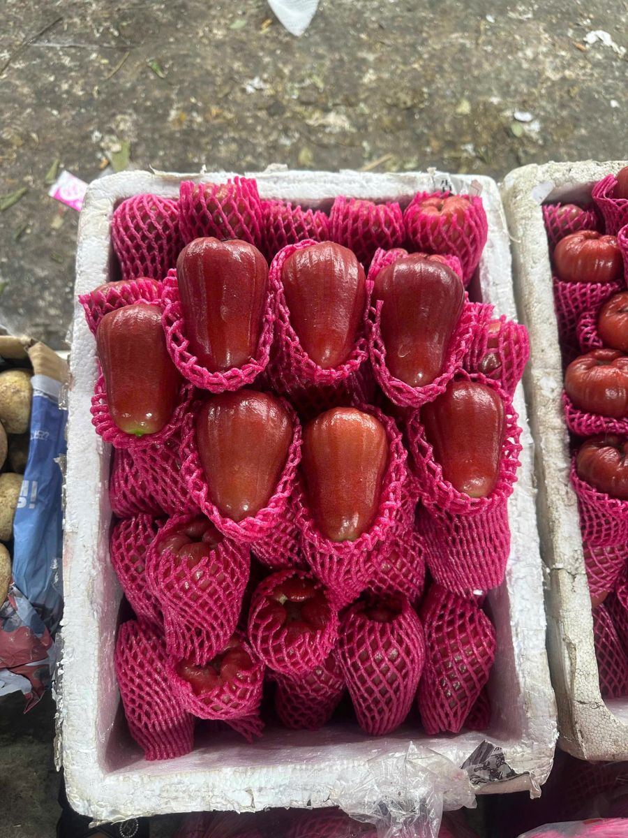 Tại sao nên chọn trái cây ở chợ đầu mối Thủ Đức?
