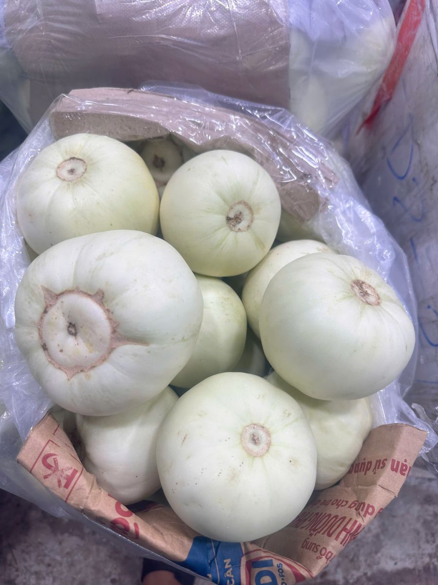 Gía sỉ trái cây chợ đầu mối Thủ Đức - vựa Thanh Tuyền