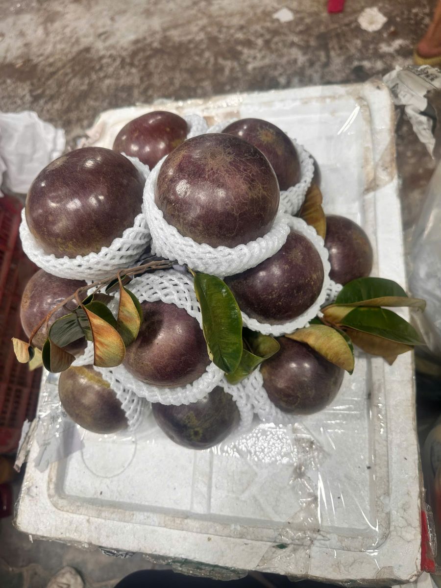 Chợ sỉ trái cây Sài Gòn - vựa trái cây Thủ Đức